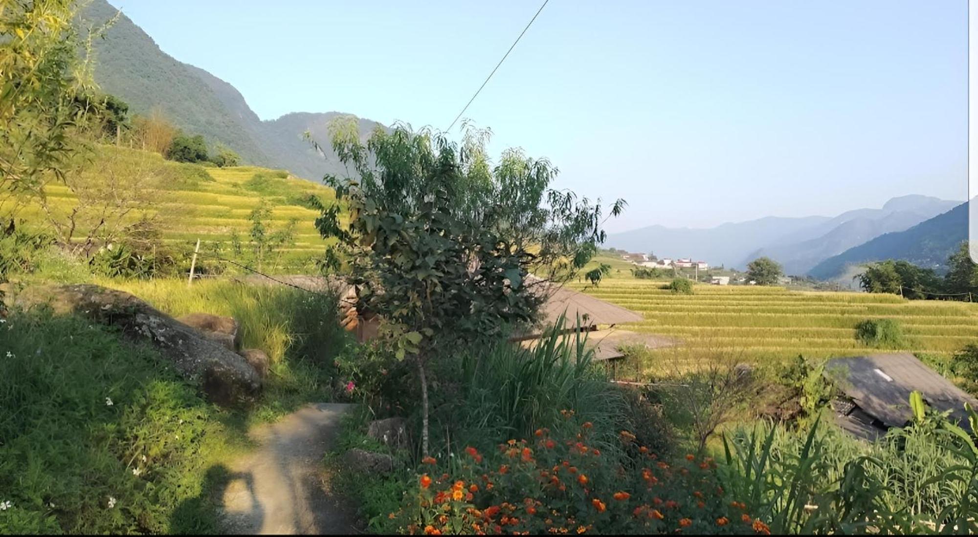 Ferienwohnung Miku Chill House Sapa Exterior foto