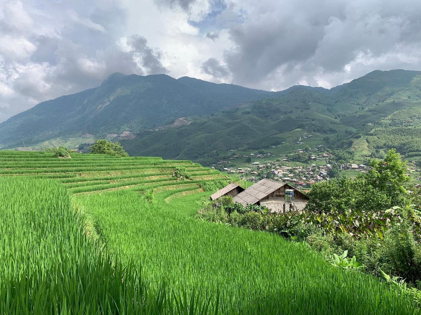 Ferienwohnung Miku Chill House Sapa Exterior foto